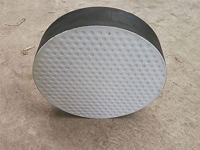 荣昌区四氟板式橡胶支座易于更换缓冲隔震